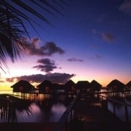 Overwater Bungalows II
