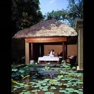 Spa Massage