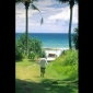 The Beach