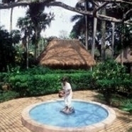 Garden Area