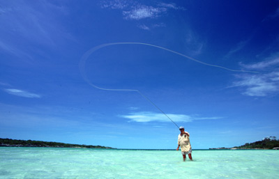 Fly Fisherman Fly Fisherman