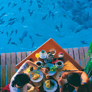 Outside Hotel Dining
