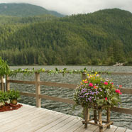 Clayoquot Wilderness Resorts and Spa
