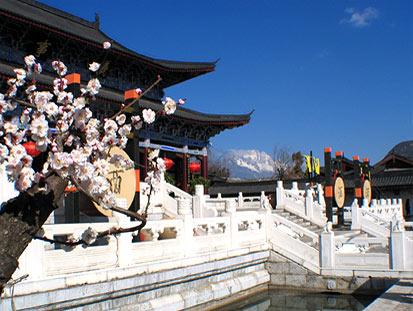 Banyan Tree Lijiang