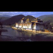 Amankora, Paro