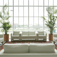 NH Lingotto Tech