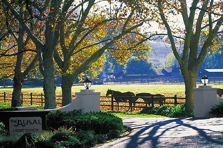 Alisal Guest Ranch and Resort