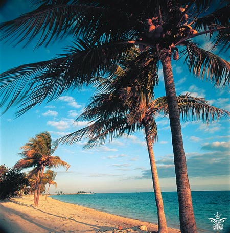 Old Bahama Bay