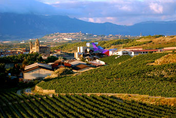 Hotel Marques De Riscal