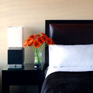 Hotel Valencia Santana Row