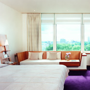 The Metropolitan London