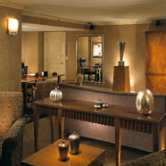Grand Hyatt Atlanta in Buckhead