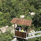 Ubud Hanging Gardens