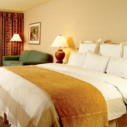 Rancho Las Palmas Resort and Spa