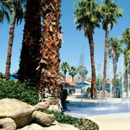 Rancho Las Palmas Resort and Spa