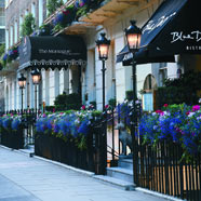 The Montague on The Gardens