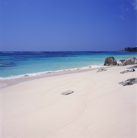 Pink Beach Club and Cottages