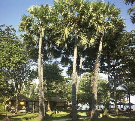 Jimbaran Puri Bali