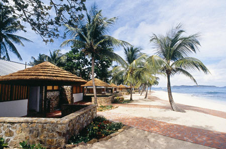 Palm Island