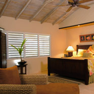 Palm Island