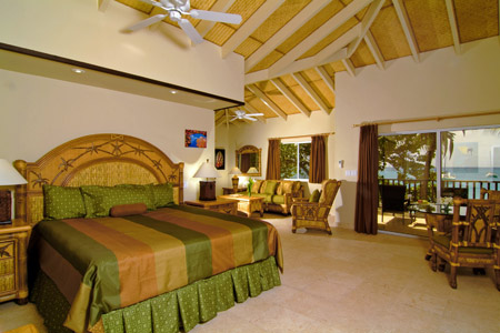 Palm Island