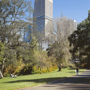 Sofitel Melbourne