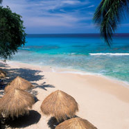 Tamarind Cove Hotel