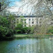 Fitzwilliam Hotel