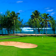Turtle Bay Resort