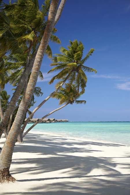 Shangri-La's Villingili Resort and Spa Maldives Shangri-La's Villingili Resort and Spa Maldives