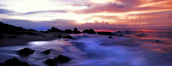W Retreat and Spa, Vieques Island Bioluminescent Bay
W Retreat and Spa, Vieques Island Bioluminescent Bay