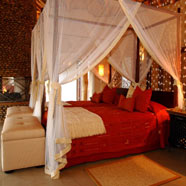 Thanda Private Game Reserve