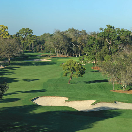 Innisbrook, a Salamander Golf & Spa Resort Innisbrook, a Salamander Golf & Spa Resort