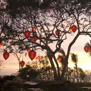 Banyan Tree Cabo Marques