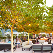 Solage Calistoga