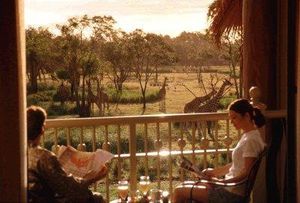 Disneys Animal Kingdom Lodge Disneys Animal Kingdom Lodge
