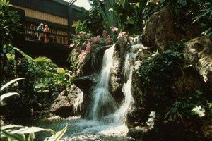 Disneys Polynesian Resort Disneys Polynesian Resort