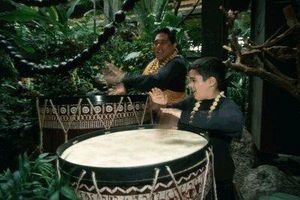 Disneys Polynesian Resort Disneys Polynesian Resort