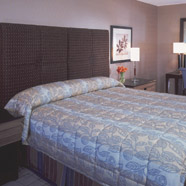 New York New York Hotel and Casino