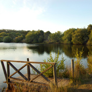 Lake House