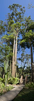 Le Cameleon Puerto Viejo Le Cameleon Puerto Viejo