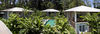 Le Cameleon Puerto Viejo