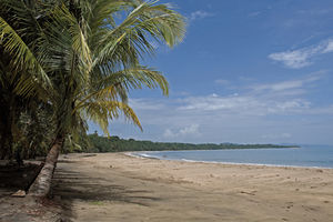 Le Cameleon Puerto Viejo