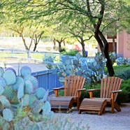 Marriott Scottsdale Mcdowell Mountain