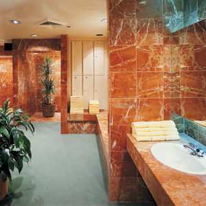 Scottsdale Resort And Conference Center Scottsdale Resort And Conference Center