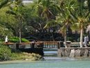 Kolea At Waikoloa