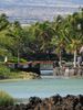 Kolea At Waikoloa