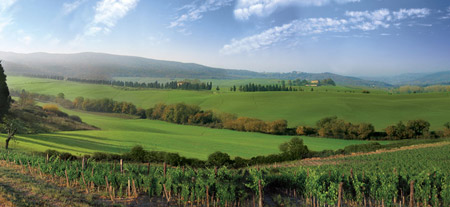 Club Castiglion del Bosco Club Castiglion del Bosco