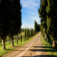 Villa Armena