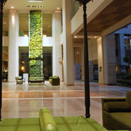 ITC Royal Gardenia 